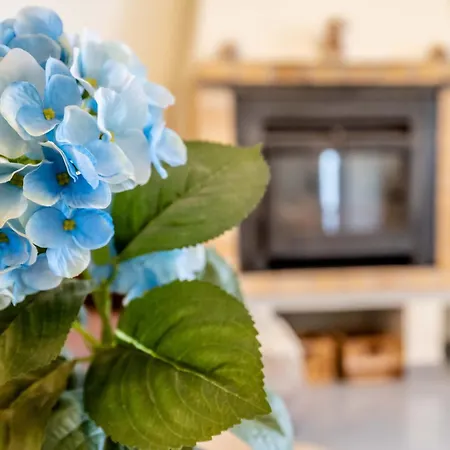 Apartment Casa Amonita, *