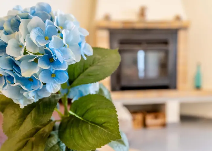 아파트 Casa Amonita, *